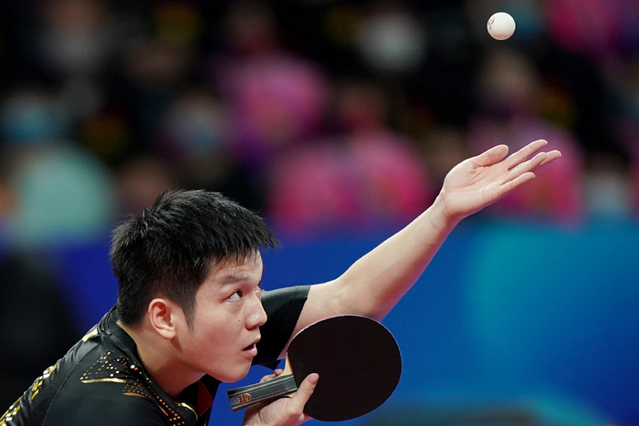 专家指出 专家指出