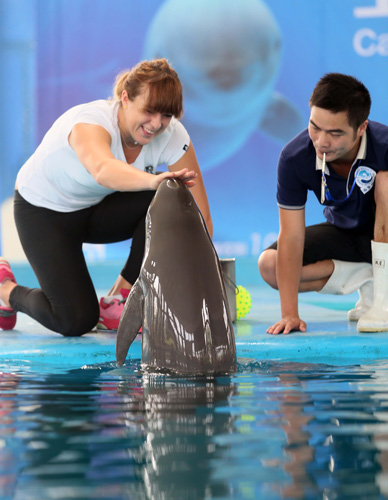 在国际舞台 在国际舞台