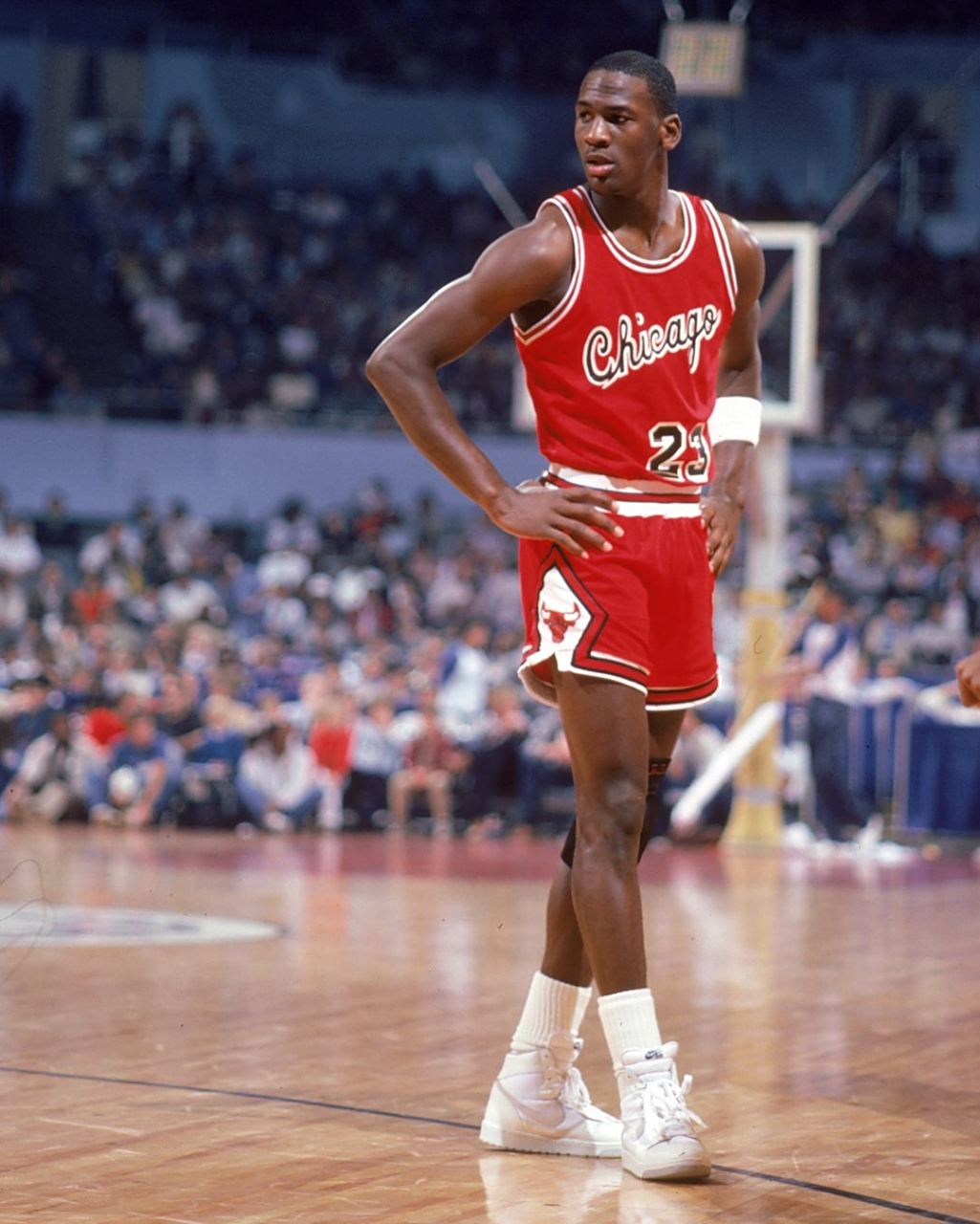 南虎近年来 南虎近年来